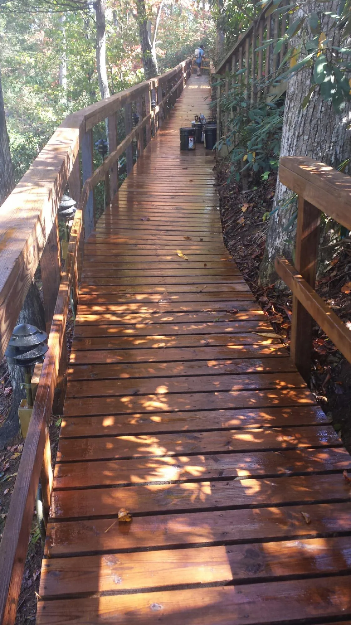 Freshly stained wood walkway winding through the woods in Bethel